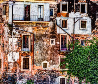 Kırmızı eski tuğla duvar ile windows ve yeşil sarmaşık