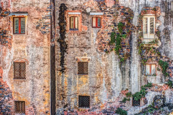 Rode vintage oude bakstenen muur met ramen en groene klimop — Stockfoto