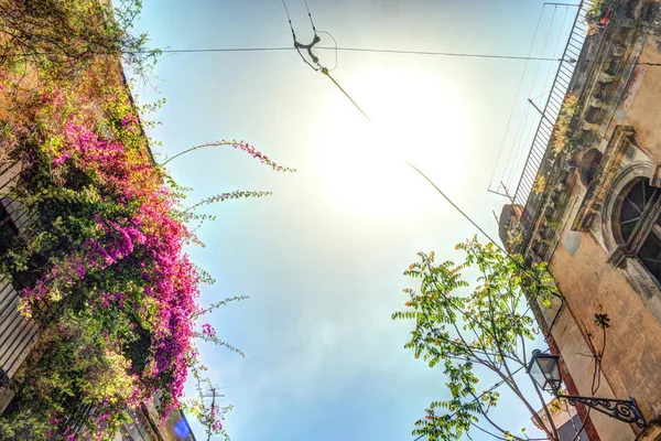 Casa italiana velha com varanda decorada com flores frescas — Fotografia de Stock