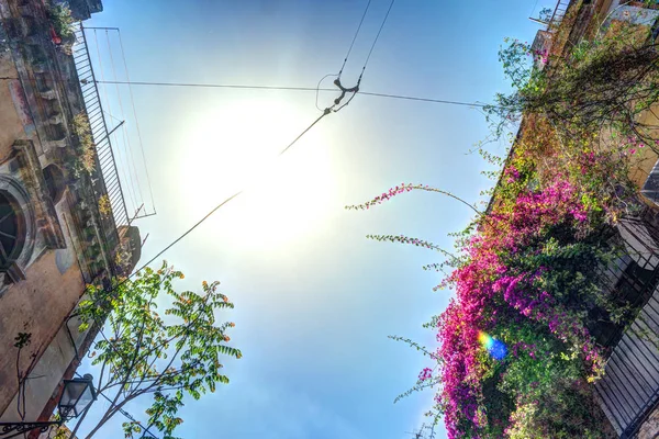 Régi olasz ház, erkéllyel, friss virágokkal — Stock Fotó