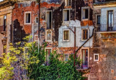 Kırmızı eski tuğla duvar ile windows ve yeşil sarmaşık