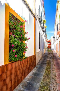 Güzel beyaz duvarlar renkli çiçeklerle süslenmiş