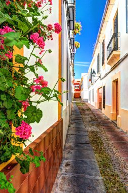 Güzel beyaz duvarlar renkli çiçeklerle süslenmiş