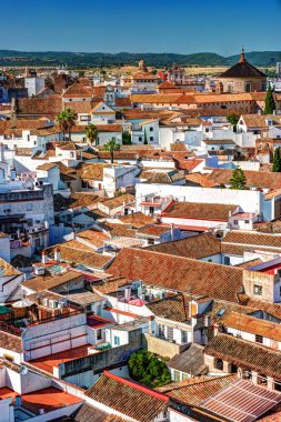 İspanya Cordoba şehrin havadan görünümü.