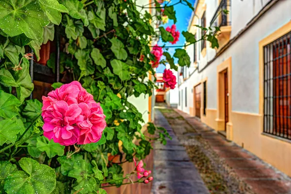 色とりどりの花で飾られた美しい白い壁 — ストック写真