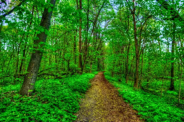 Höstlandskap. Park i höst. — Stockfoto