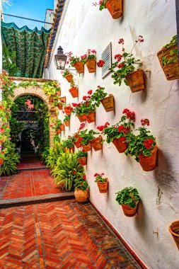 Güzel beyaz duvarlar renkli çiçeklerle süslenmiş