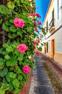 Güzel beyaz duvarlar renkli çiçeklerle süslenmiş