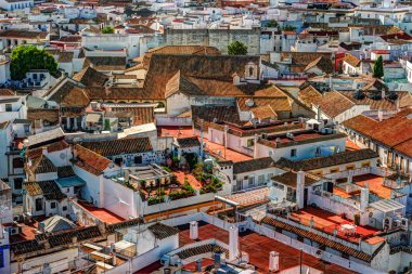İspanya Cordoba şehrin havadan görünümü.