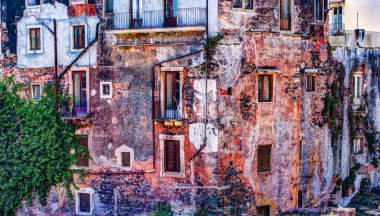 Kırmızı eski tuğla duvar ile windows ve yeşil sarmaşık