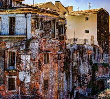 Kırmızı eski tuğla duvar ile windows ve yeşil sarmaşık