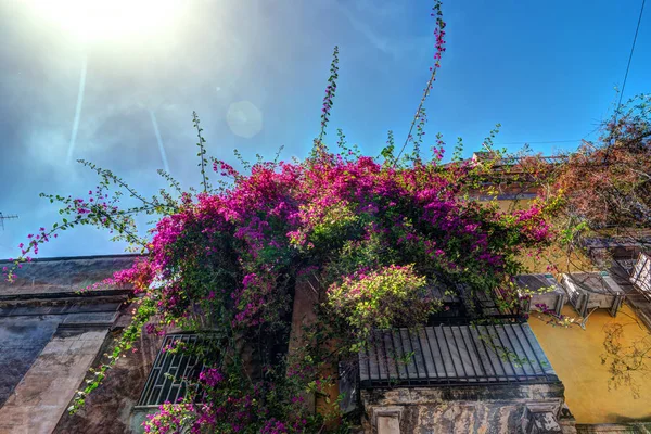 Gamla italienska hus med balkong dekorerad med färska blommor — Stockfoto