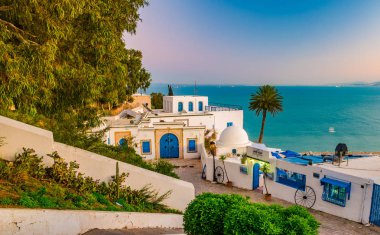 Sidi Bou Said, geleneksel Tunus mimarisi ile famouse köy.