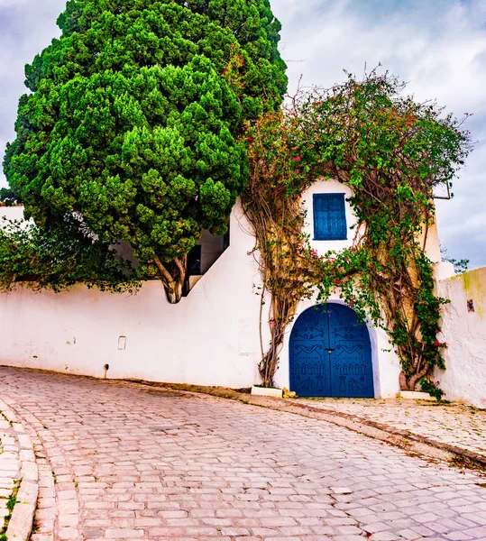 Sidi Bou Said, famoso pueblo con arquitectura tradicional tunecina . — Foto de Stock