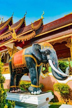 Budist tapınağı Chiang Mai, Tayland