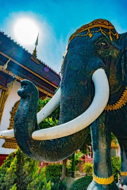 Budist tapınağı Chiang Mai, Tayland