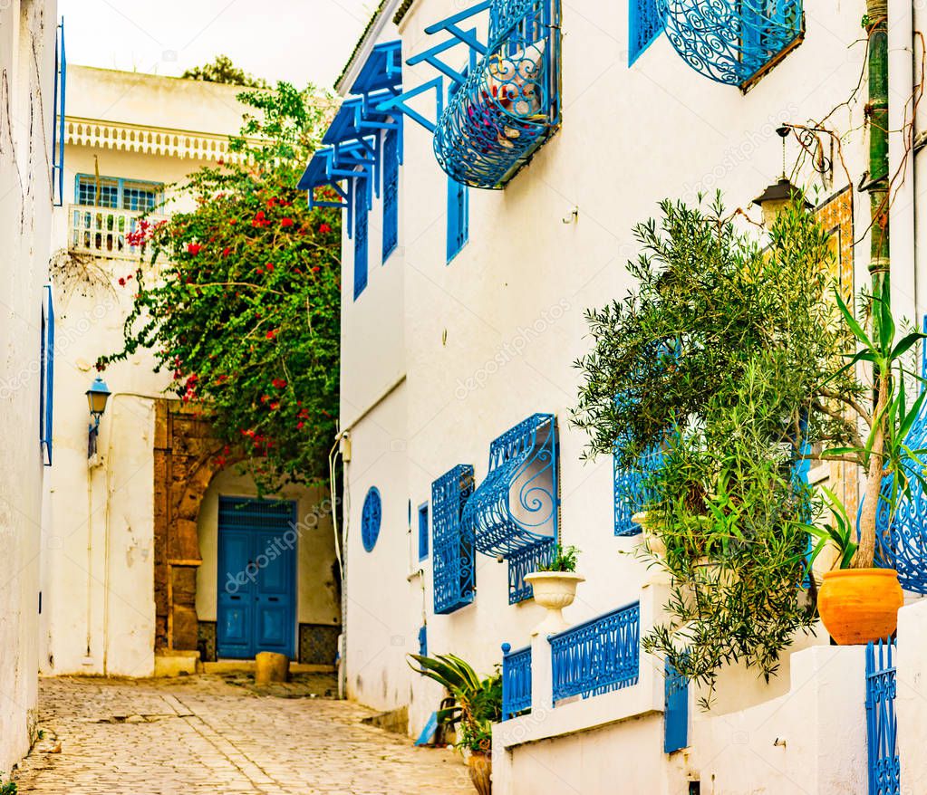 Sidi Bou Said, famouse village with traditional tunisian architecture.