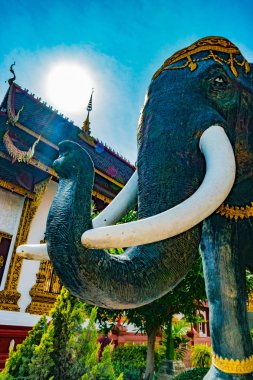 Budist tapınağı Chiang Mai, Tayland