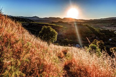 Bir ışık ışını ile dramatik gökyüzü günbatımı tatili ve bir tepede yalnız bir ağaca çarptı