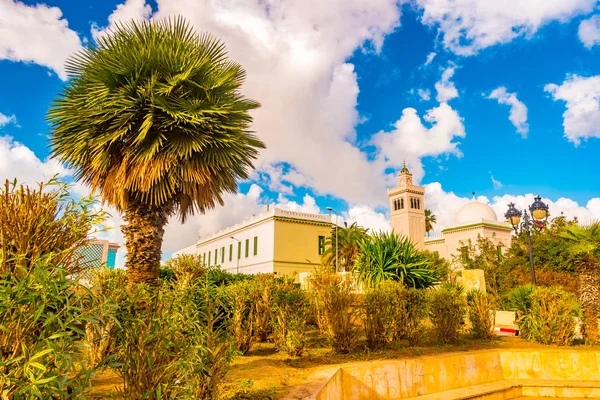View in Tunis with white architecture — Stock Photo, Image