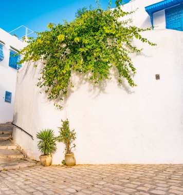 Sidi Bou Said, geleneksel Tunus mimarisi ile famouse köy.
