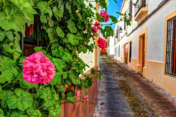 色とりどりの花で飾られた美しい白い壁 — ストック写真