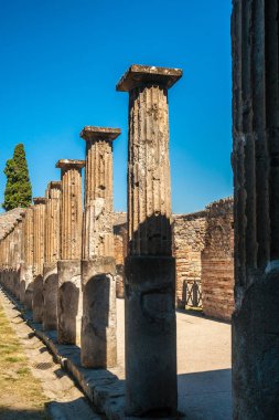 Pompeii, Napoli yakınındaki ünlü antik sitesi.