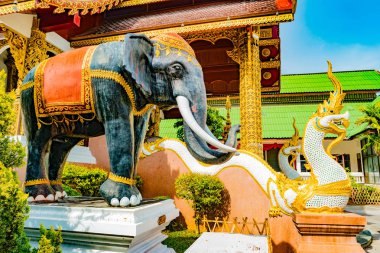 Budist tapınağı Chiang Mai, Tayland