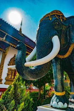 Budist tapınağı Chiang Mai, Tayland