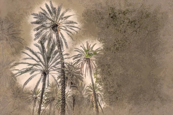 Palmiye ağaçları güzel güneşli bir gün, bir tropikal tatil. — Stok fotoğraf