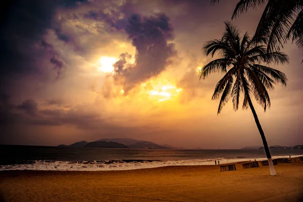 Силует пальмового дерева на красивому тропічному заході сонця — стокове фото