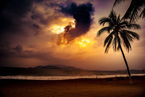 Силует пальмового дерева на красивому тропічному заході сонця — стокове фото