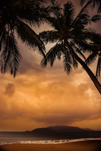 Silhouette einer Palme bei schönem tropischen Sonnenuntergang — Stockfoto