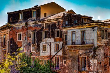 Kırmızı eski tuğla duvar ile windows ve yeşil sarmaşık