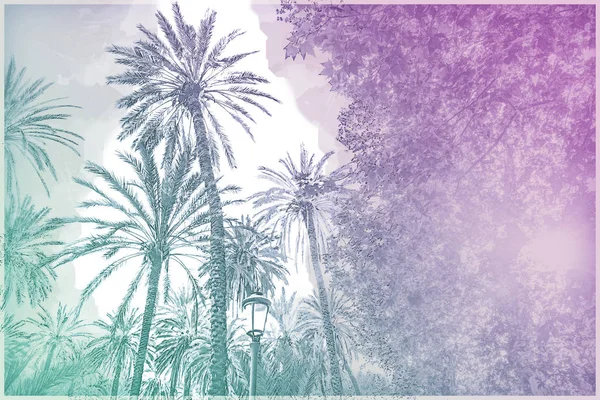 Palmen in einem tropischen Resort bei schönem Sonnenschein. — Stockfoto