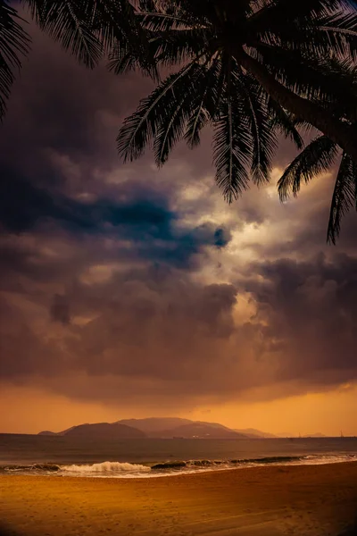 Silhouette einer Palme bei schönem tropischen Sonnenuntergang — Stockfoto