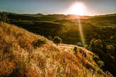 Bir ışık ışını ile dramatik gökyüzü günbatımı tatili ve bir tepede yalnız bir ağaca çarptı