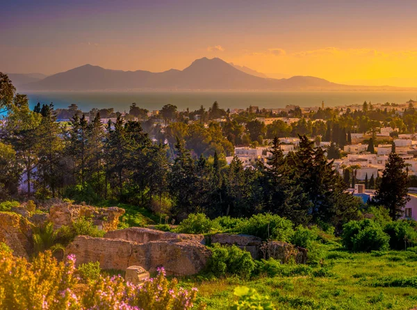 Vista desde la colina Byrsa con restos antiguos de Cartago y paisaje . — Foto de Stock