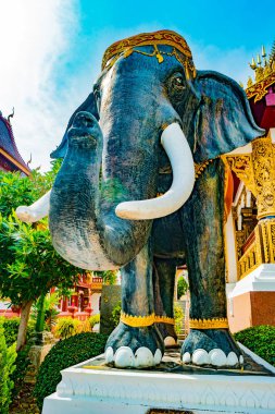 Budist tapınağı Chiang Mai, Tayland