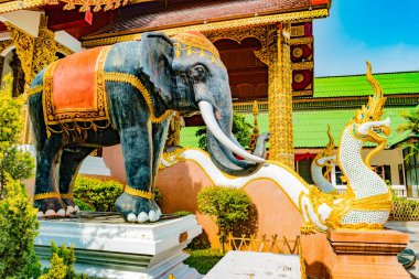 Budist tapınağı Chiang Mai, Tayland