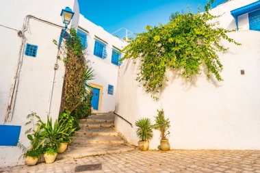 Sidi Bou Said, geleneksel Tunus mimarisi ile famouse köy.