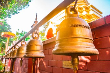 Budist tapınağı Chiang Mai, Tayland