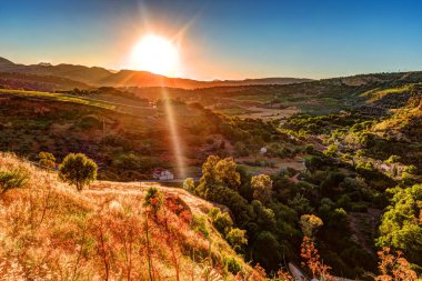 Bir ışık ışını ile dramatik gökyüzü günbatımı tatili ve bir tepede yalnız bir ağaca çarptı