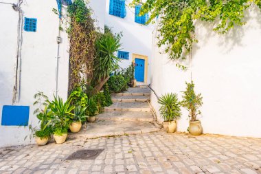 Sidi Bou Said, geleneksel Tunus mimarisi ile famouse köy.