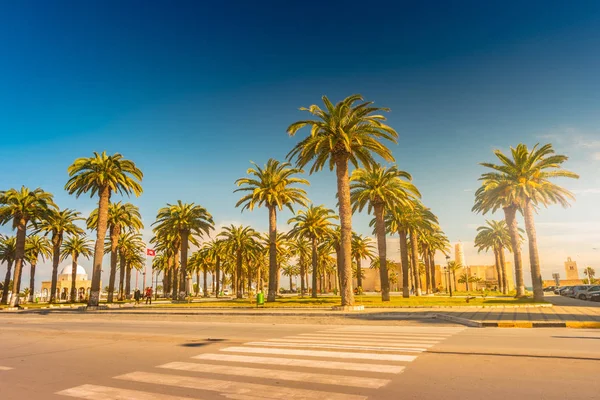 Güzel bir güneşli gün, tropikal bir tatil palmiye ağaçları. Görüntü tatil tropikal ve güneşli mutluluk.