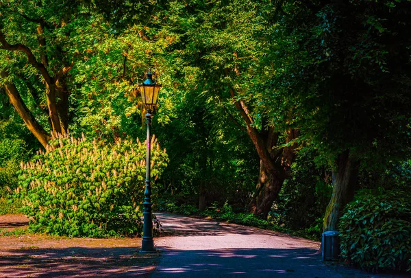Linterna en el parque. Foto de fondo — Foto de Stock