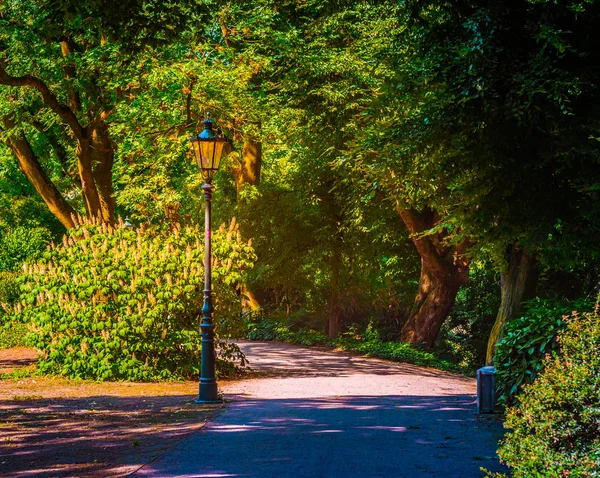 Lanterna nel parco. Foto di sfondo — Foto Stock