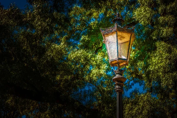 Lykta i parken. Bakgrundsfoto — Stockfoto