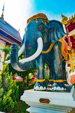 Budist tapınağı Chiang Mai, Tayland