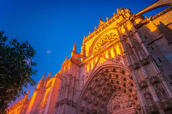 Hermoso edificio gótico de la Catedral de Santa María Sevilla, Andalucía, España — Foto de Stock